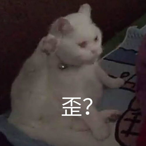  有哪些适合聊天时开头的表情包