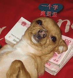 摇摆狗表情包gif哈哈哈