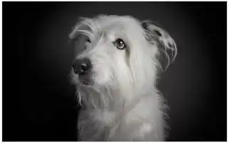 致生活和学习中的你知乎上的39条神回复,针针见血,直击要害 致生活和学习中的你知乎上的39条神回复,针针见血,直击要害