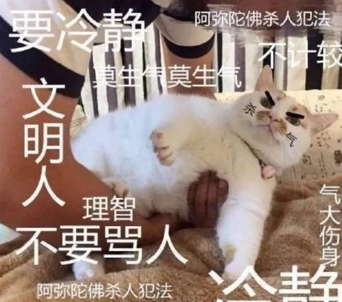 孝感人挺住史上最难熬的一个月来了还有这5个消息等着你...