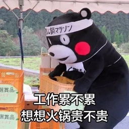  简单说下我努力的理由