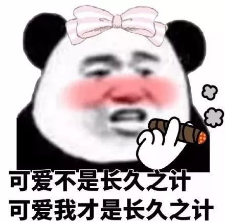  撩汉表情包不想撞南墙了,想撞先生的胸膛