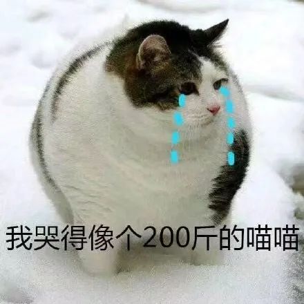  大风降雨第18号台风圆规对厦门都有这些影响