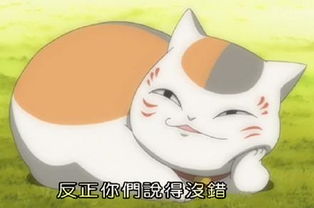  猫咪老师qq表情包