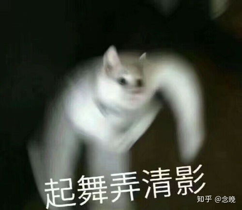  第三卷三十四章知意