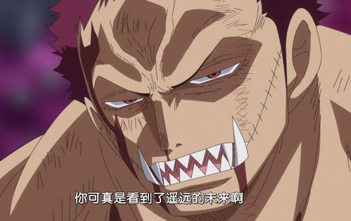 海贼王卡二也会流樱霸气,能轻易击败路飞,对路飞放水显而易见
