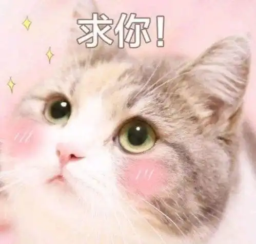 暗中观察我不困,求你清醒一点可爱搞笑表情包图片 暗中观察我不困,求你清醒一点可爱搞笑表情包图片