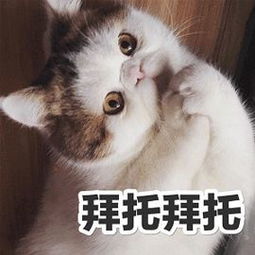  性命攸关在奥地利生活的你必须知道