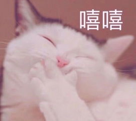  让女生荷尔蒙爆发的表情包,萌到你无法招架,还能提升好感度