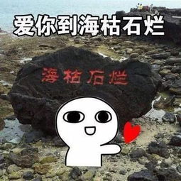  寻人启事