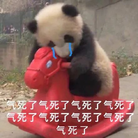  表情包大熊猫总觉得有什么不对劲