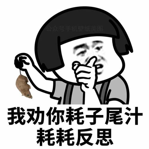  可爱沙雕表情包你是我见过最可爱的小宝贝