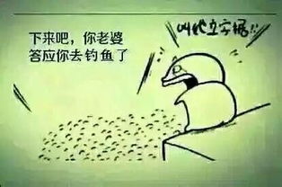  钓鱼珍藏多年钓鱼表情包,钓友们速速收藏起来