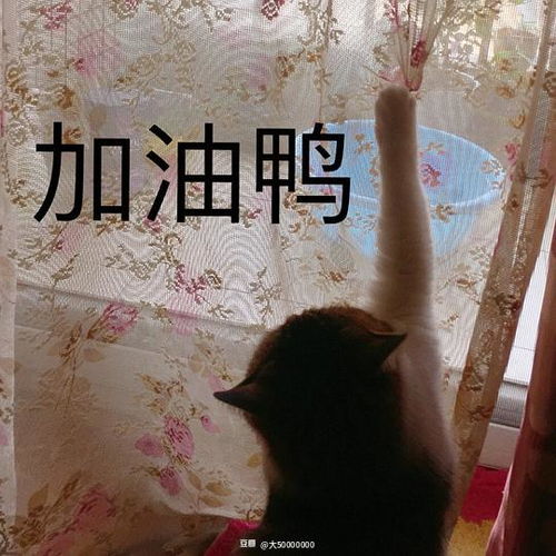  大50000000的相册三级包不如表情包