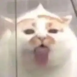 你们都有什么亲自见过的神秘事件吗永远对世界保持敬畏龙在 你们都有什么亲自见过的神秘事件吗永远对世界保持敬畏龙在