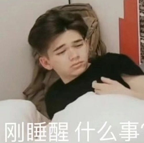  怜崽