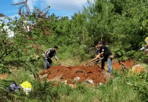 农村殡葬有讲究,全面实行火葬,是否还能入土为安 农村殡葬有讲究,全面实行火葬,是否还能入土为安