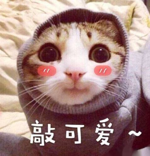  左连接和右链接的区别csdn