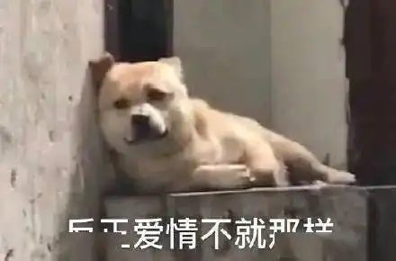  文人骂人有多毒