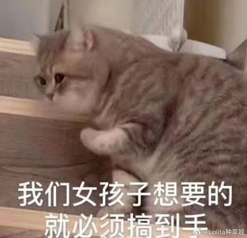  云歌会并不止小情侣和导演