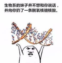  那些被玩坏的表情包你都有吗此文略长请保持电量充足