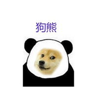  搞笑狗熊表情包头像卡通狗熊搞笑头像