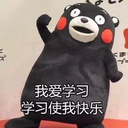  大学怎么过务实派佛系派放飞派......听听学长学姐的血泪史你就有答案了