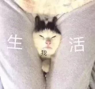  4204元北海最新平均薪酬出炉,拖后腿我从来没输过