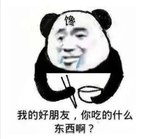 摆烂表情包熊猫头地摊经