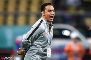 呐喊憨笑无语卡帅表情剧变 呐喊憨笑无语卡帅表情剧变