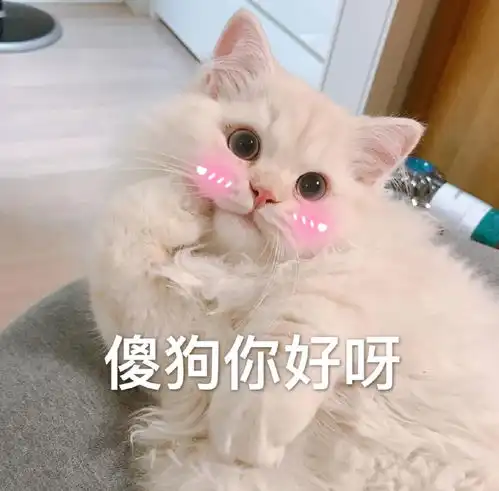 我想舔一口猫爪,是不是心理变态 我想舔一口猫爪,是不是心理变态