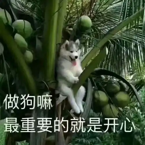 有哪些朋友圈发出来能引人注目的配图或表情包 有哪些朋友圈发出来能引人注目的配图或表情包