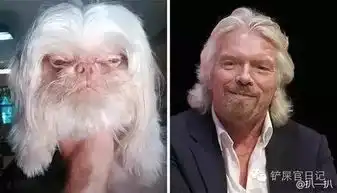  这个世界上另一个物种的我,撞脸这件事真是百看不