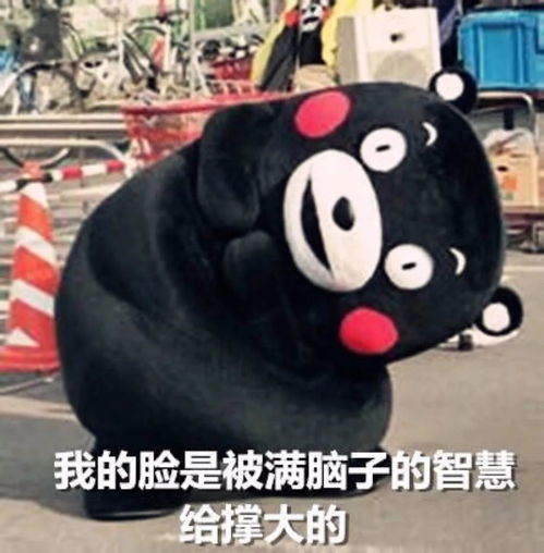你可真机智表情包苏军