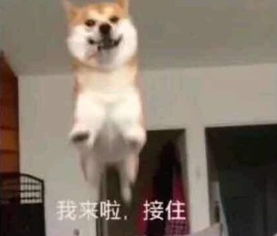  买买买被花呗套住的年轻人,这个月你还清了吗
