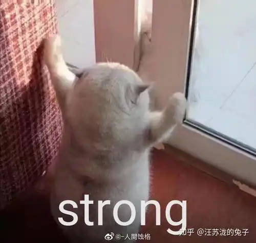  给我推荐点表情包吧各种都行