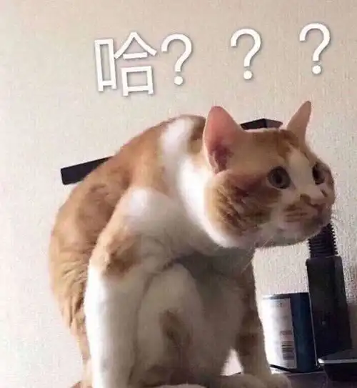 在最热猫咪表情包大合集速收 在最热猫咪表情包大合集速收