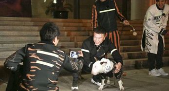  像孙红雷的狗叫什么