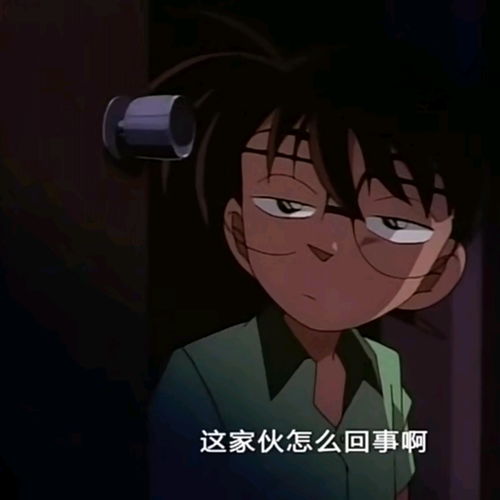  名侦探柯南表情包