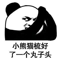  小熊猫梳了一个新发型表情图片小熊猫贴了贴腮红沙雕表情包下载乐游网游戏下载