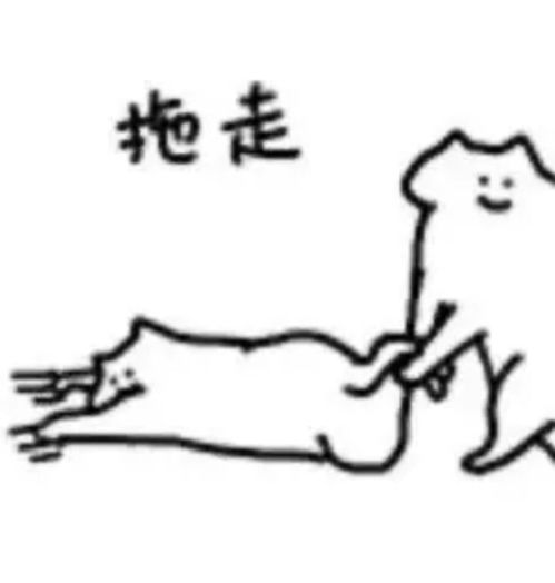 早表情包沙雕凉凉