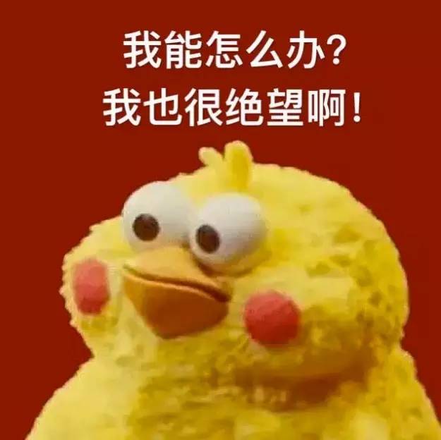  新晋网红表情包脆皮鸡no人家明明是鹦鹉好吗