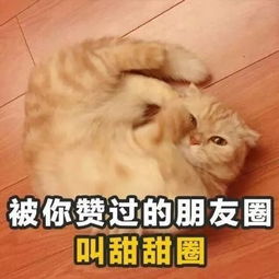  自古红蓝出cp,扒一扒这里有你嗑的cp嘛