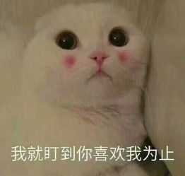  520攻略指南如何度过520