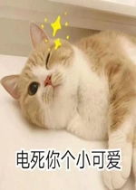  乐游网单机游戏
