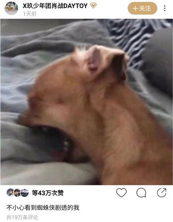  肖战被爆雷蜘蛛人po呐喊表情包网友感受到绝望