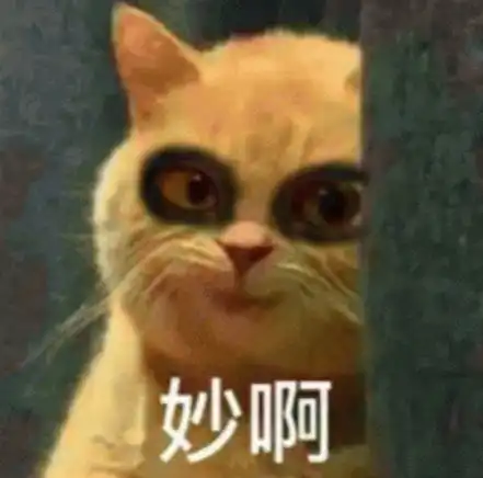 熬夜修仙表情包老子