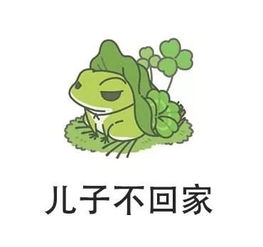  我的游戏人生总结儿子不回家