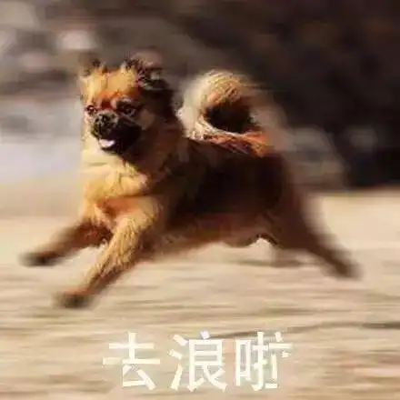 旅游愉快表情包清明