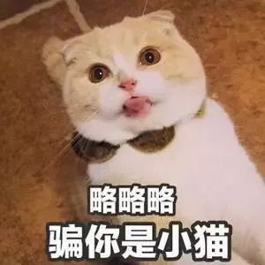 和易烊千玺谈恋爱周冬雨,快交出你的斩男秘籍 和易烊千玺谈恋爱周冬雨,快交出你的斩男秘籍